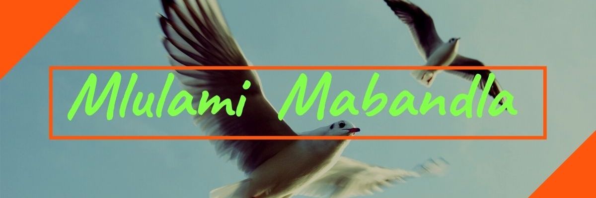 Mlulami Mabandla