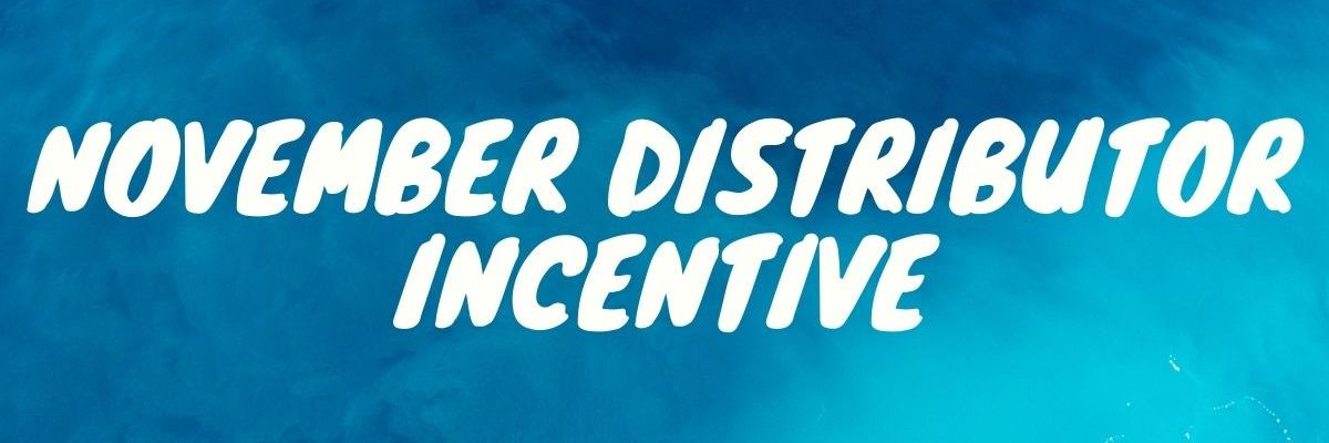 November Distributor Incentive