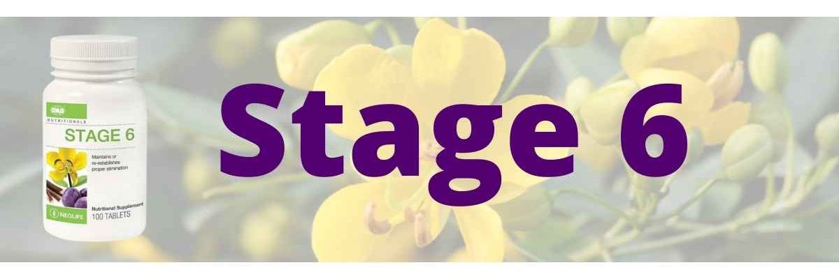 Stage 6 banner
