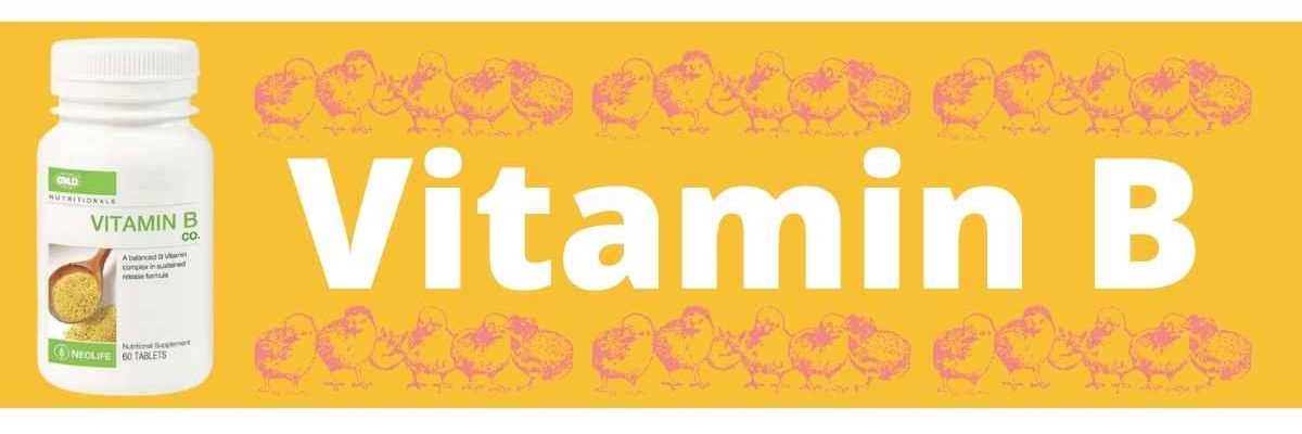 Vitamin B with Yourday2day